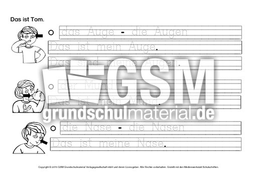 DAZ-Deutsch-lernen-mit-Tom-Körper-D.pdf